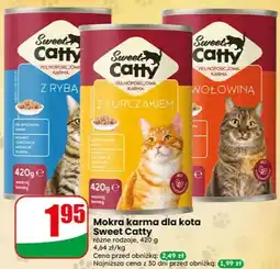 Dino Mokra karma dla kota z wołowiną Sweet Catty oferta