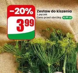 Dino Zestaw do kiszenia oferta
