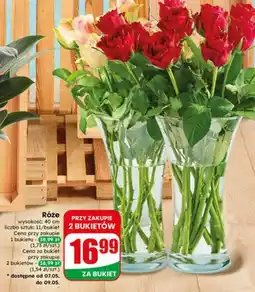 Dino Róże wysokość 40cm 11szt/bukiet oferta