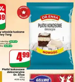 Dino Płatki kokosowe dekoracyjne Dr.Ensa oferta