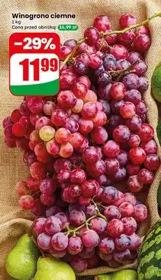 Dino Winogrono ciemne oferta