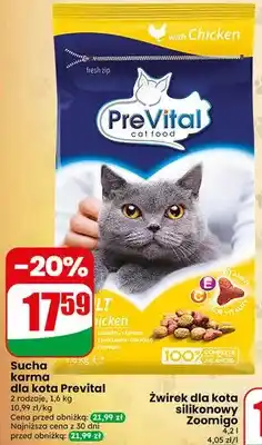 Dino Żwirek dla kota silikonowy Zoomigo oferta