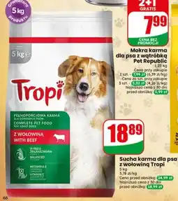 Dino Sucha karma dla psa z wołowiną Tropi oferta