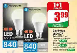 Dino Żarówka LED E27 Aigostar A60 9W 4000k oferta