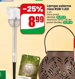 Dino Lampa solarna róża RGB 1 LED oferta