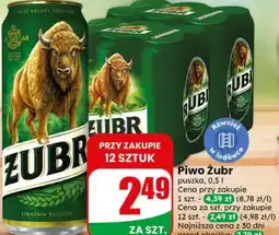 Dino Piwo Żubr oferta