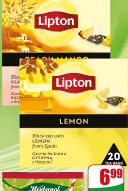 Dino Herbata czarna aromatyzowana Lipton oferta