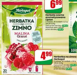 Dino Herbatka na zimno Herbapol oferta