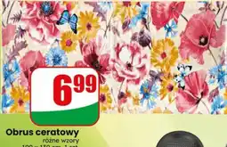 Dino Obrus ceratowy oferta