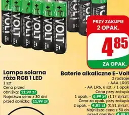 Dino Baterie alkaliczne E-Volt oferta