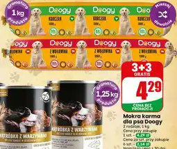 Dino Mokra karma dla psa Doogy oferta
