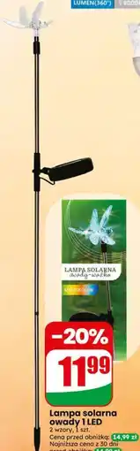 Dino Lampa solarna owady 1 LED oferta