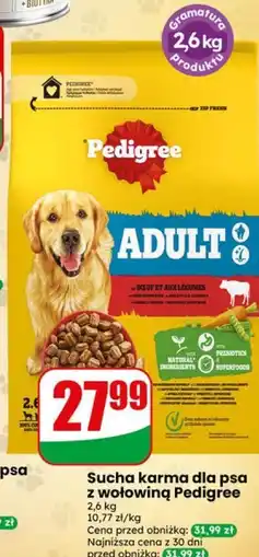 Dino Sucha karma dla psa z wołowiną Pedigree oferta