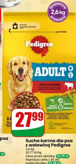 Dino Sucha karma dla psa z wołowiną Pedigree oferta