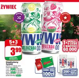 Dino Napój piwny Żywiec oferta