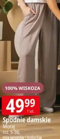 E.Leclerc Spodnie damskie Moraj oferta