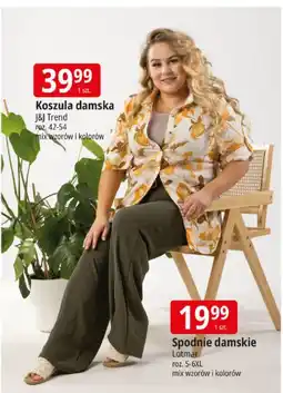 E.Leclerc Koszula damska J&J Trend oferta