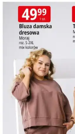 E.Leclerc Bluza damska dresowa Moraj oferta