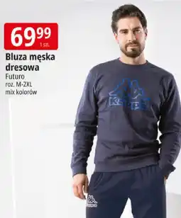 E.Leclerc Bluza męska dresowa Futuro oferta