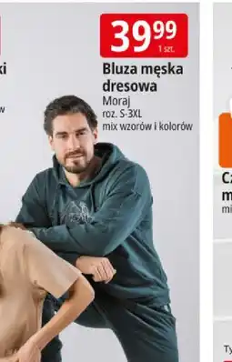 E.Leclerc Bluza męska dresowa Moraj oferta
