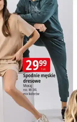 E.Leclerc Spodnie męskie dresowe Moraj oferta