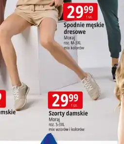 E.Leclerc Szorty damskie Moraj oferta