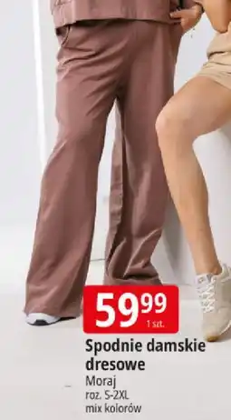 E.Leclerc Spodnie damskie dresowe Moraj oferta
