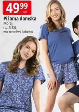 E.Leclerc Piżama damska Moraj roz. S-5XL mix wzorów i kolorów oferta