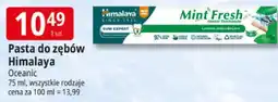 E.Leclerc Pasta do zębów Himalaya oferta