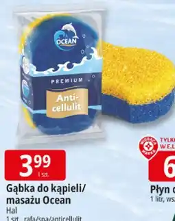 E.Leclerc Gąbka do kąpieli/masażu Ocean Hal oferta
