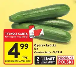 Intermarche Ogórek krótki luz oferta