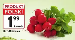 Intermarche Rzodkiewka polska oferta