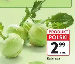 Intermarche Kalarepa polska oferta