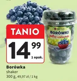 Intermarche Borówka shaker oferta