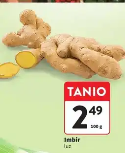 Intermarche Imbir luz oferta