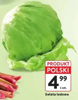 Intermarche Sałata lodowa polska oferta