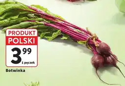 Intermarche Botwinka polska oferta
