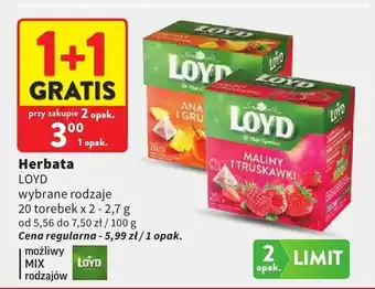 Intermarche Herbata Loyd oferta