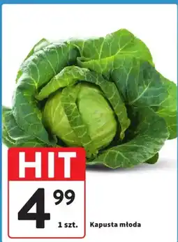 Intermarche Kapusta młoda oferta
