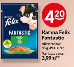 Żabka Karma Felix Fantastic różne rodzaje oferta