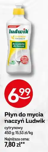Żabka Płyn do mycia naczyń Ludwik cytrynowy oferta