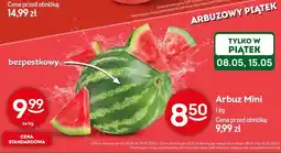 Żabka Arbuz Mini oferta