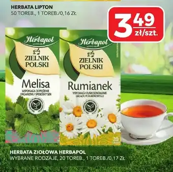 Herbata ziołowa Zielnik Polski rumianek Herbapol