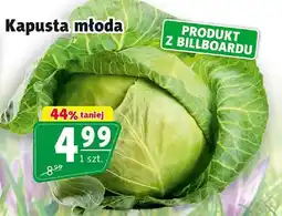 Prim Market Kapusta młoda oferta