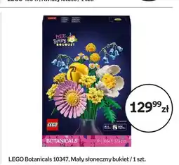 Empik Klocki LEGO Botanicals 10347 Mały słoneczny bukiet oferta
