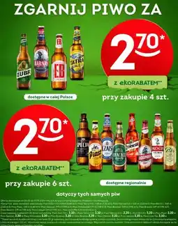 Żabka Piwo Żubr oferta