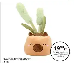 Empik Maskotka Chinchilla Doniczka Cappy oferta