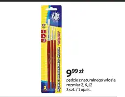 Empik Pędzle z naturalnego włosia rozmiar 2 6 12 Astra oferta