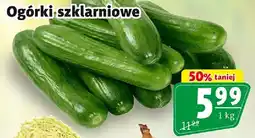 Prim Market Ogórki szklarniowe oferta