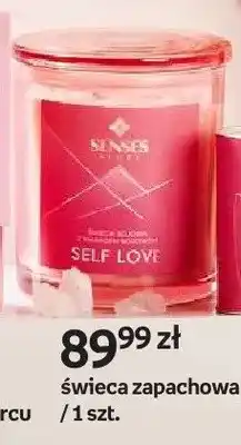 Empik Świeca zapachowa Senses Story oferta